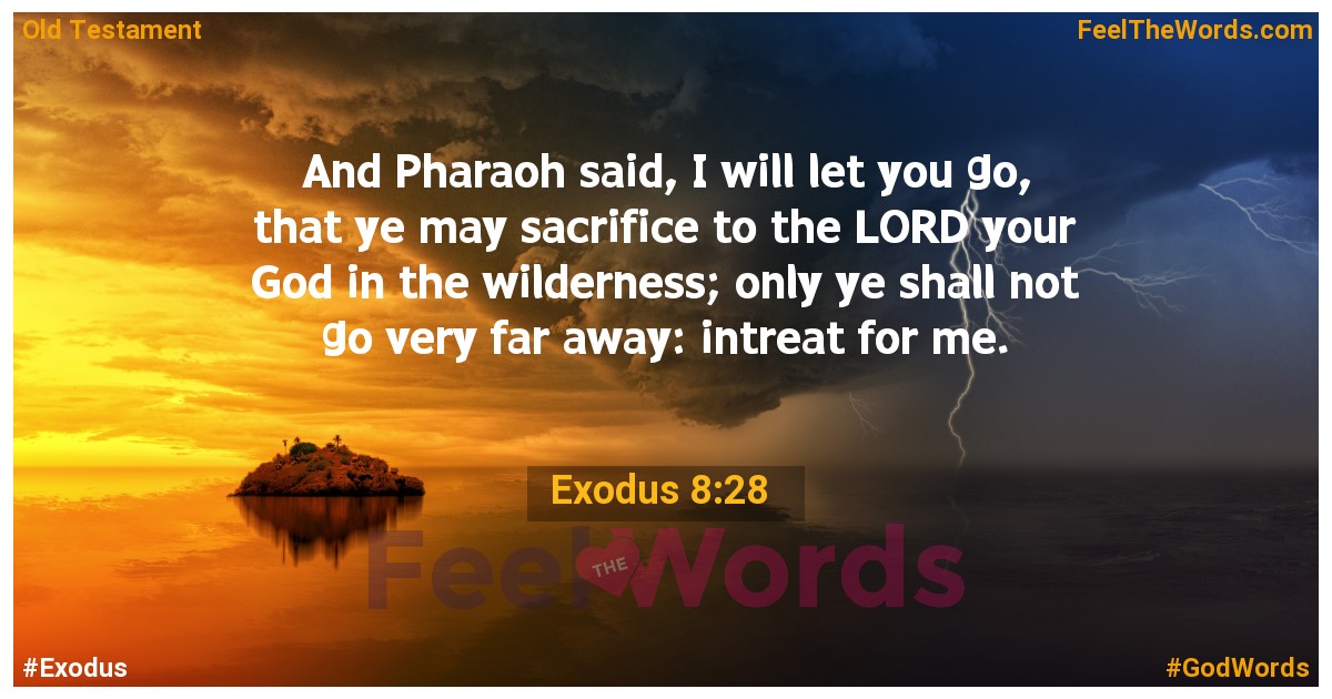Exodus 8:28