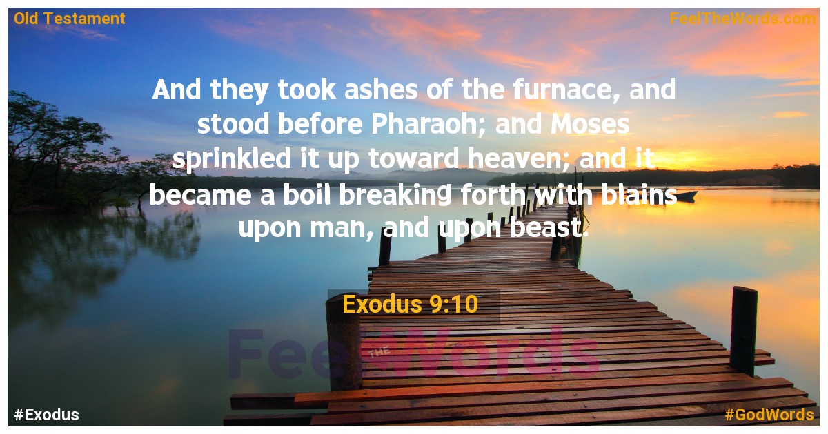 Exodus 9:10