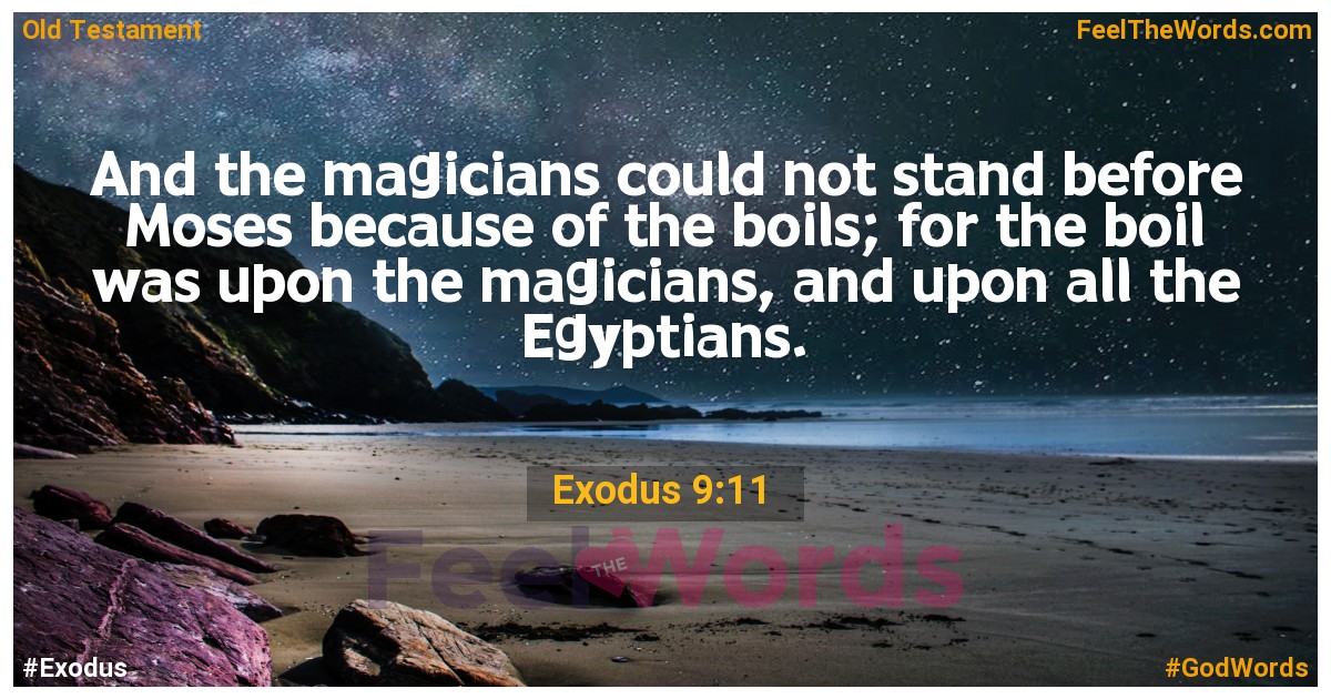 Exodus 9:11