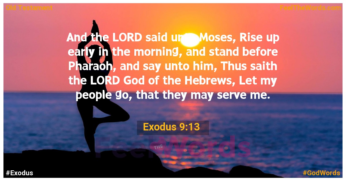 Exodus 9:13