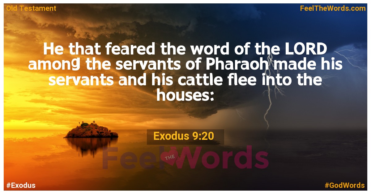 Exodus 9:20