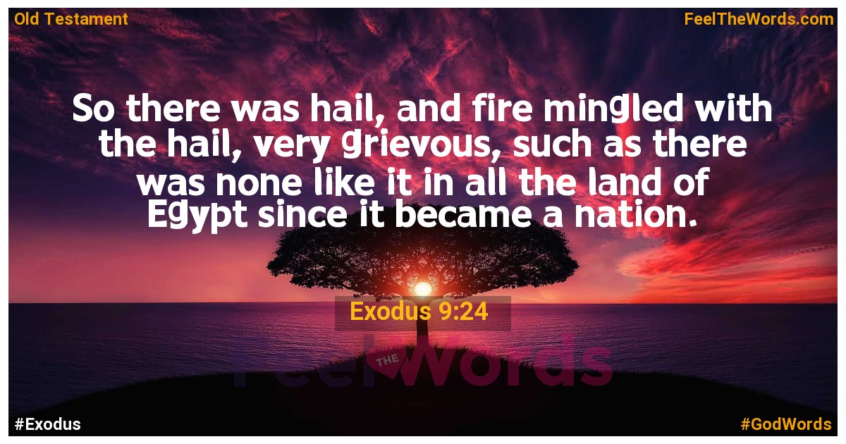 Exodus 9:24