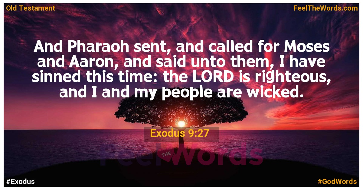Exodus 9:27