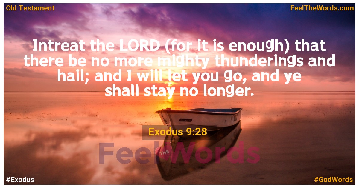 Exodus 9:28