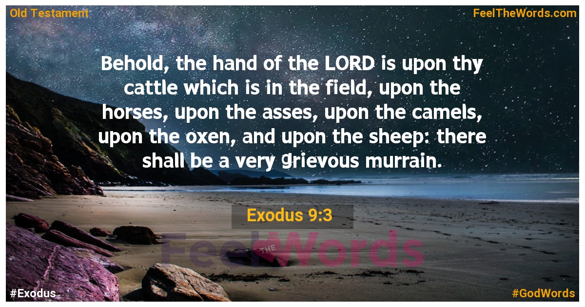 Exodus 9:3
