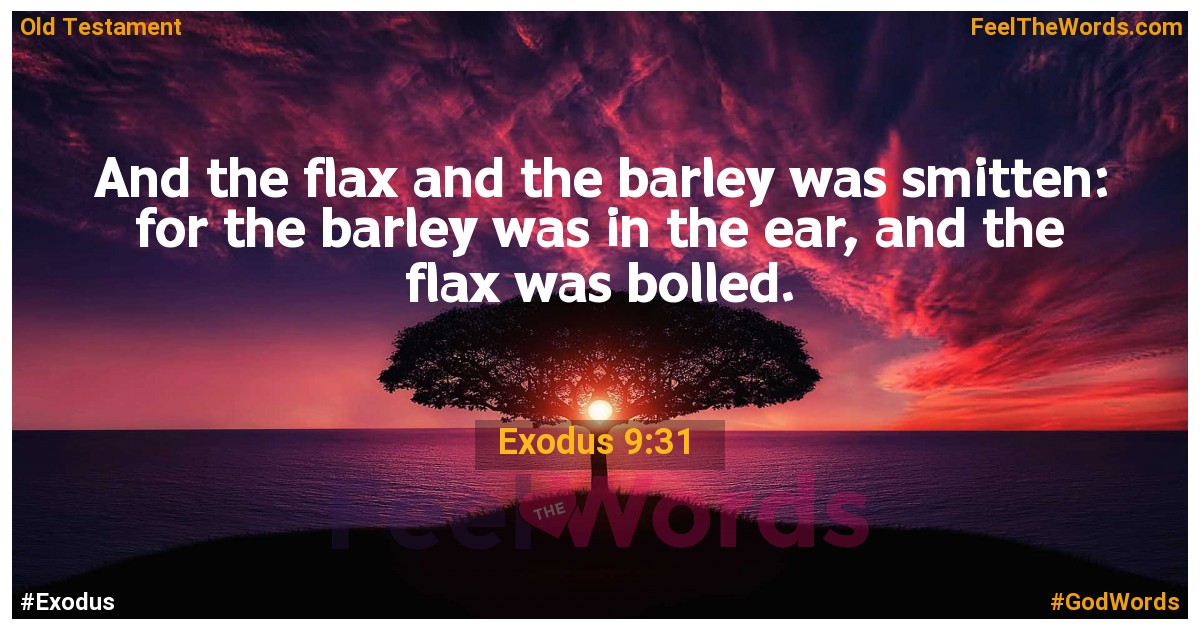 Exodus 9:31