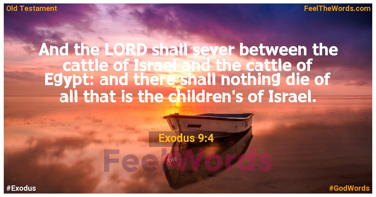 Exodus 9:4