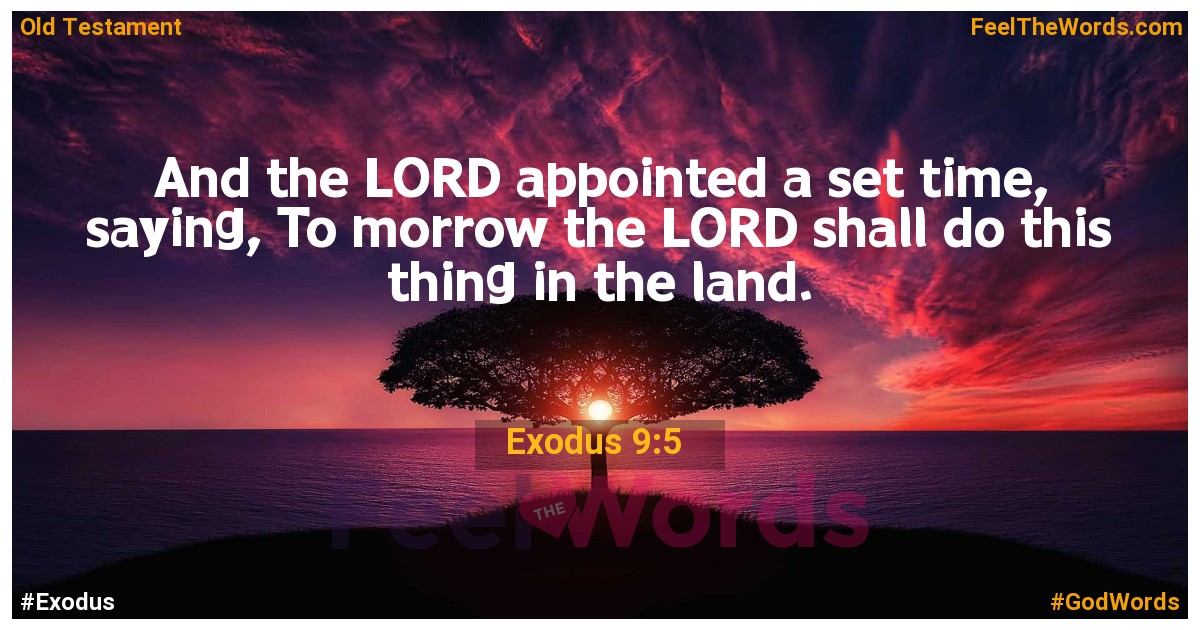 Exodus 9:5