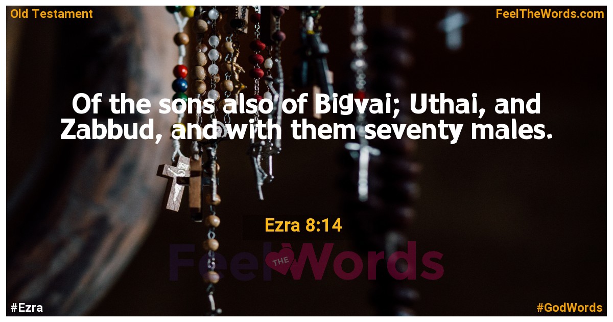 Ezra 8:14