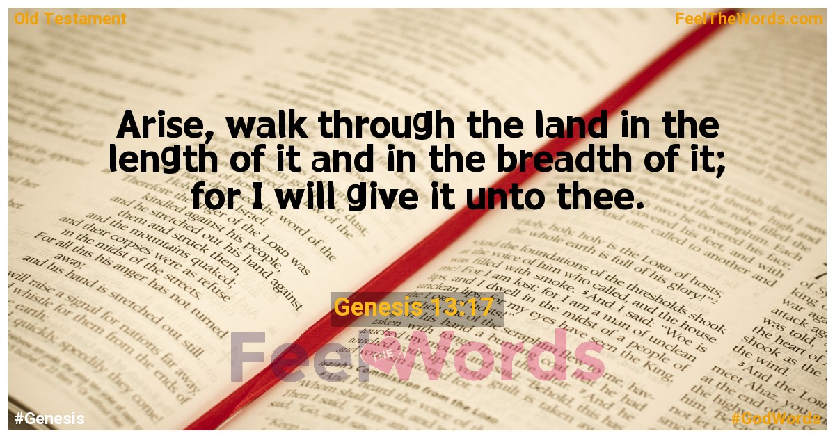 Genesis 13:17