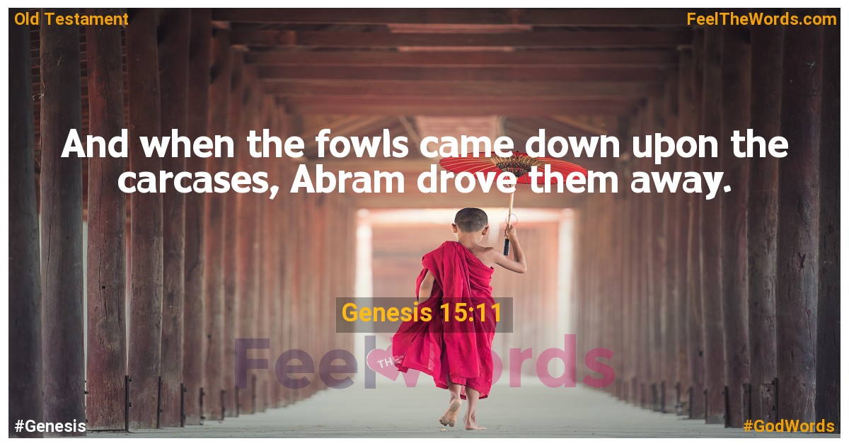 Genesis 15:11