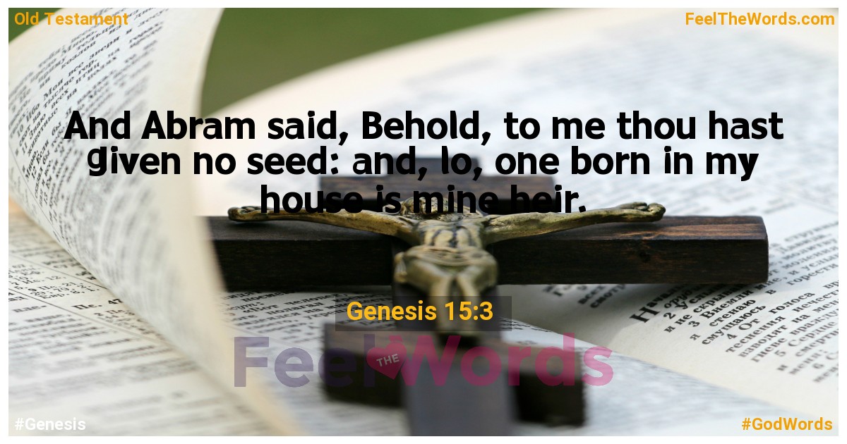 Genesis 15:3