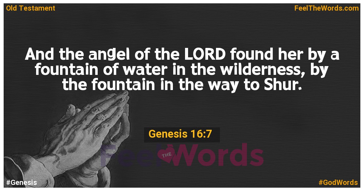 Genesis 16:7