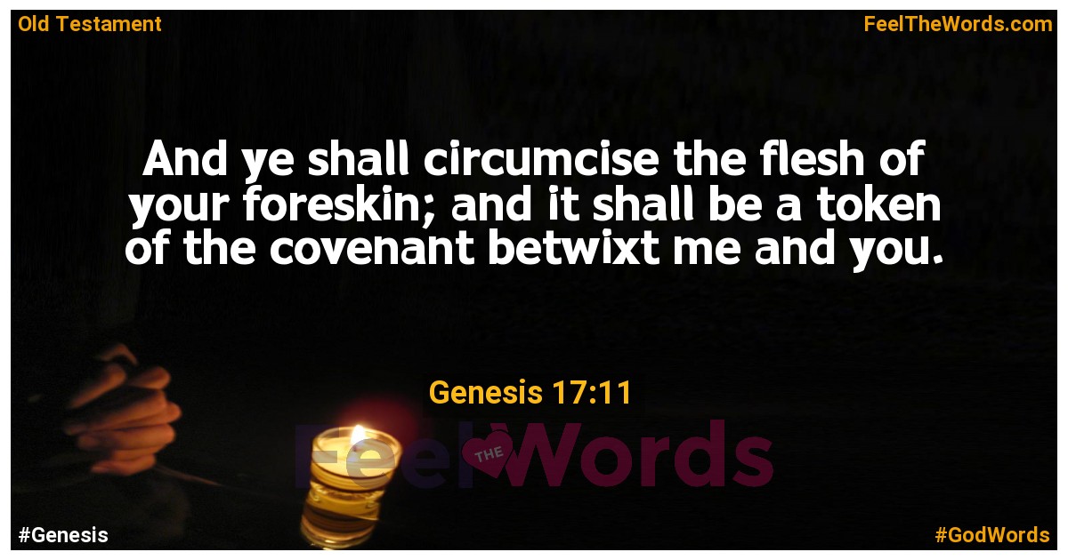 Genesis 17:11