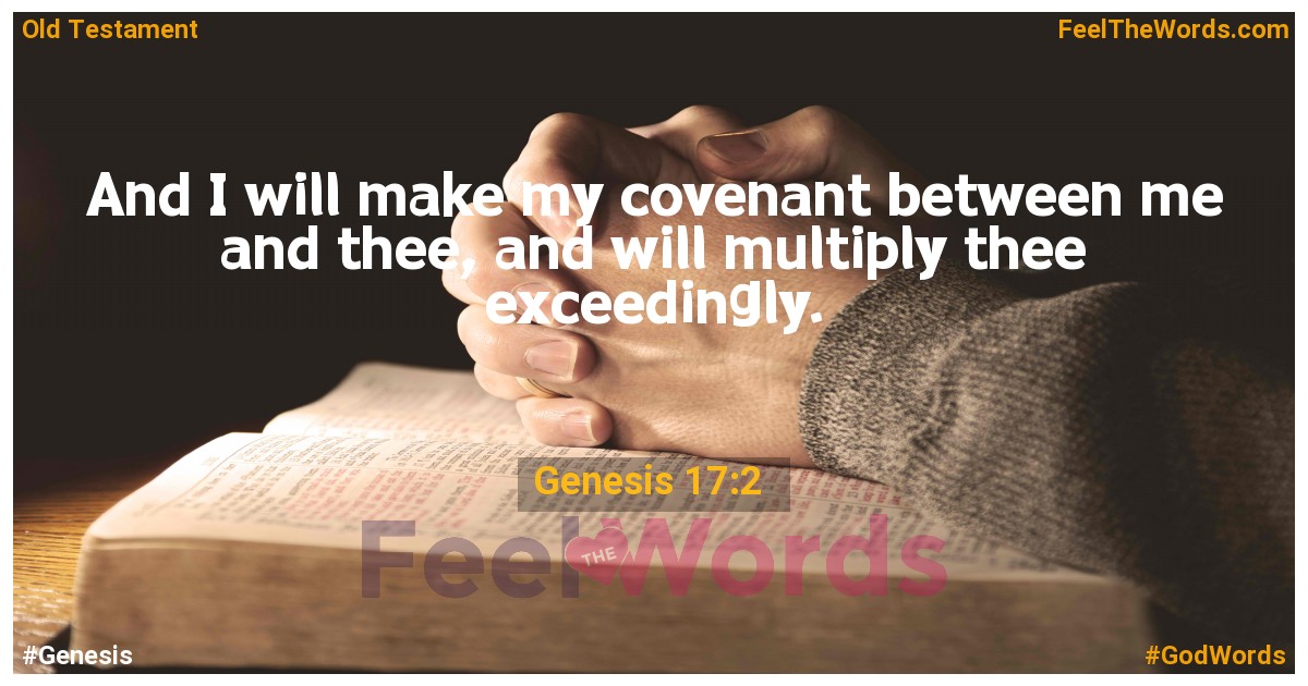 Genesis 17:2