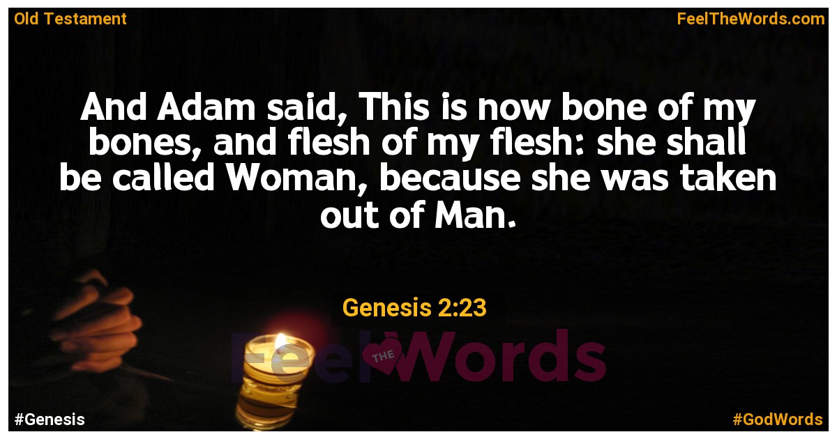 Genesis 2:23