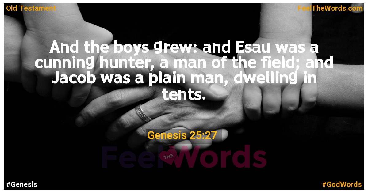 Genesis 25:27