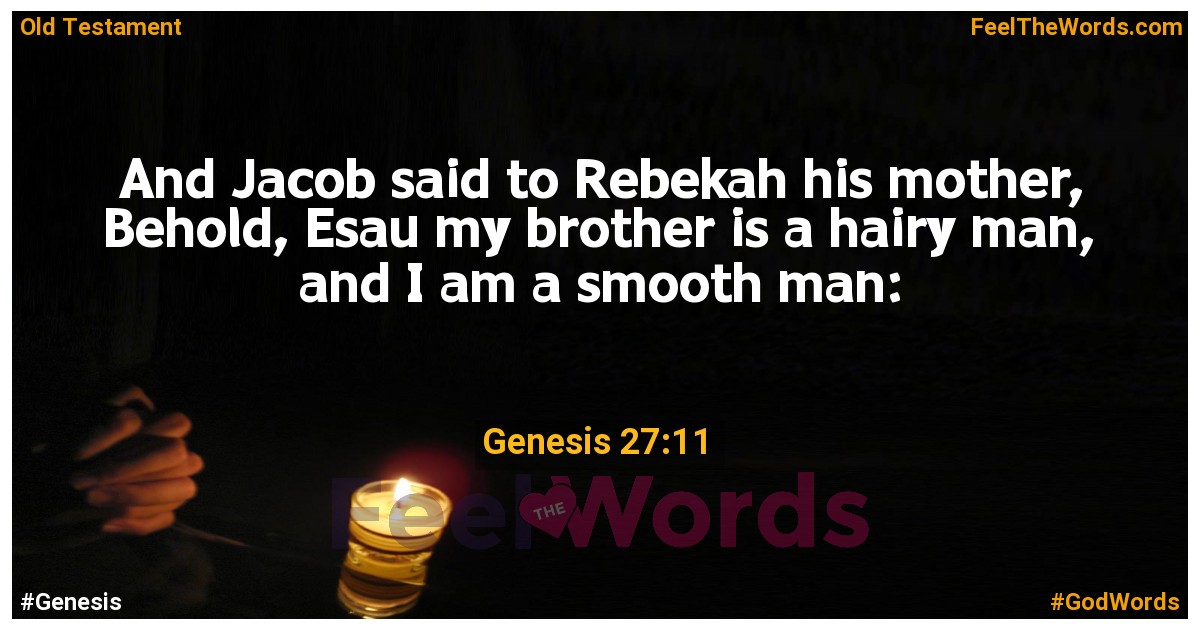 Genesis 27:11