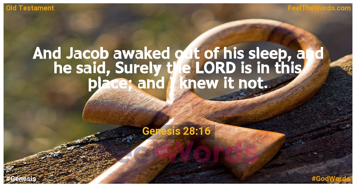 Genesis 28:16