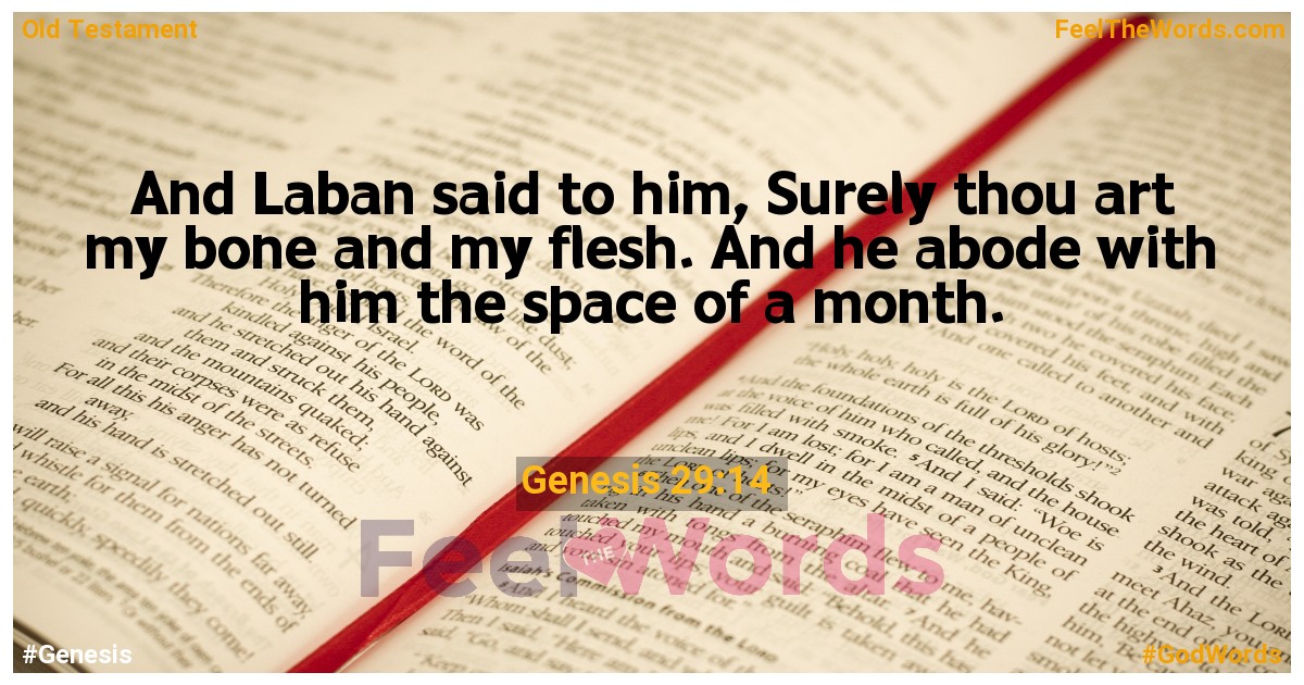 Genesis 29:14