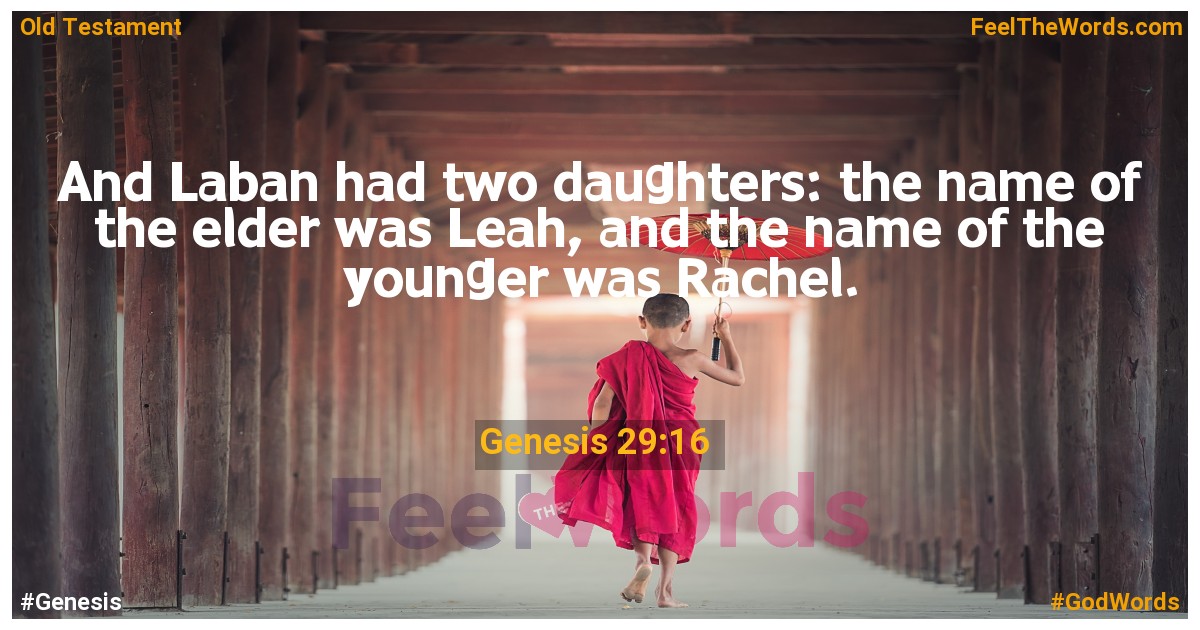 Genesis 29:16
