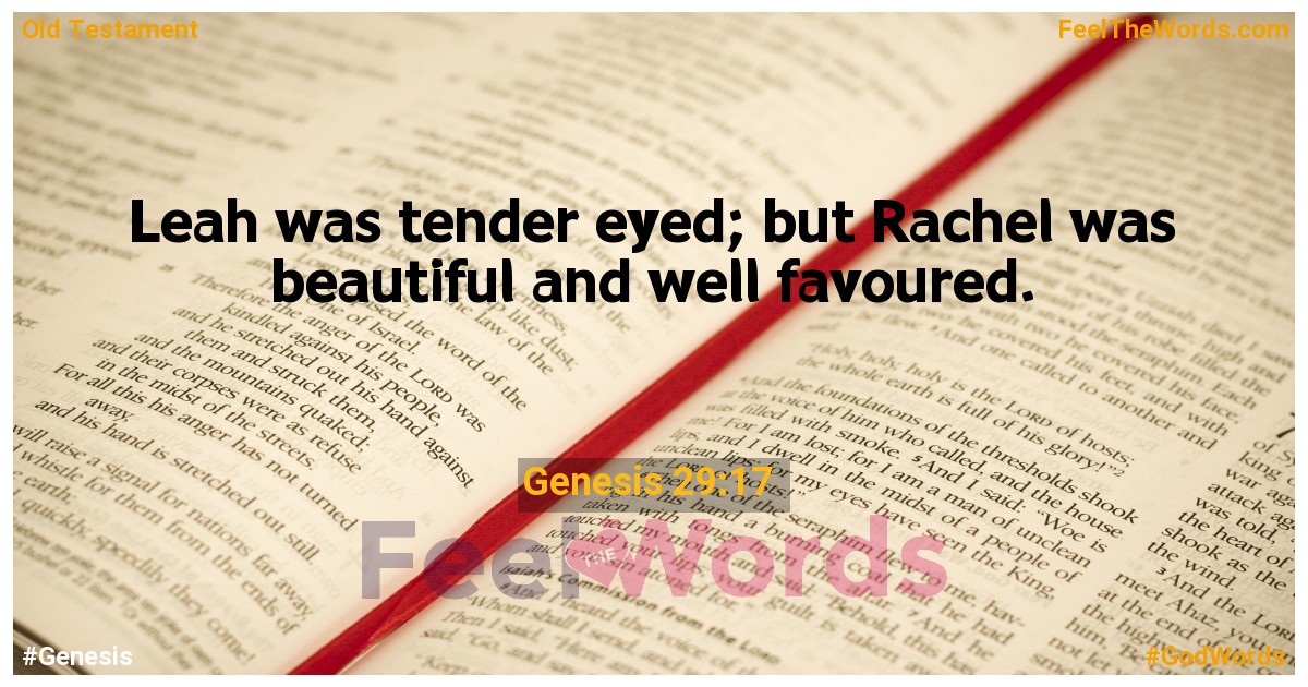 Genesis 29:17