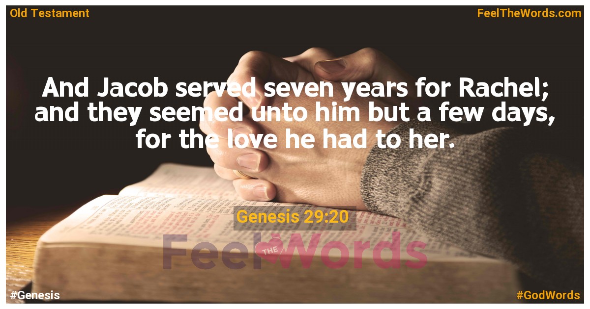 Genesis 29:20