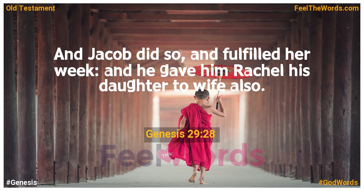 Genesis 29:28