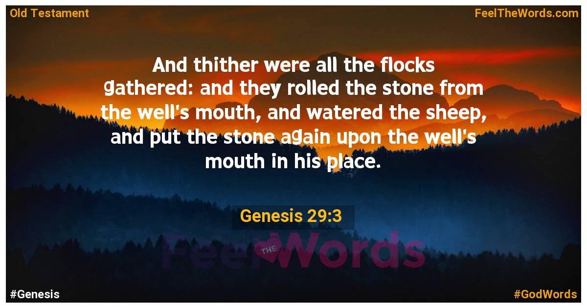 Genesis 29:3
