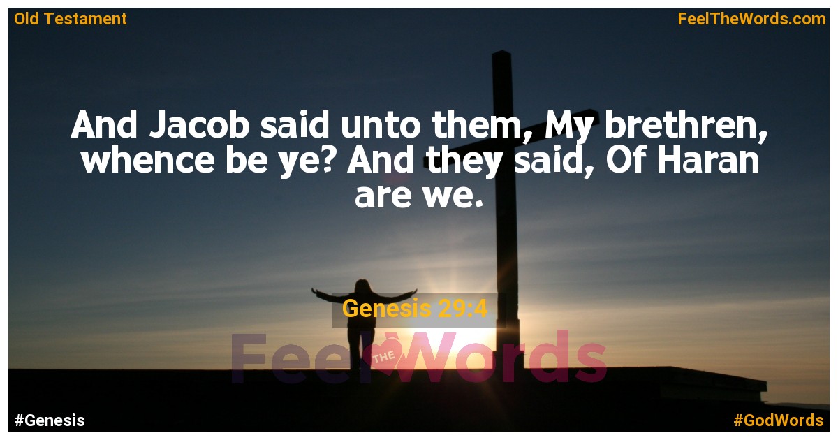 Genesis 29:4