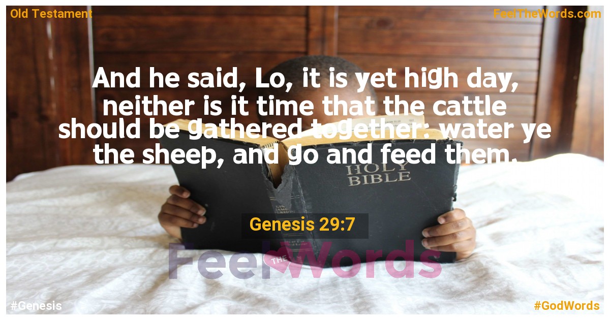 Genesis 29:7