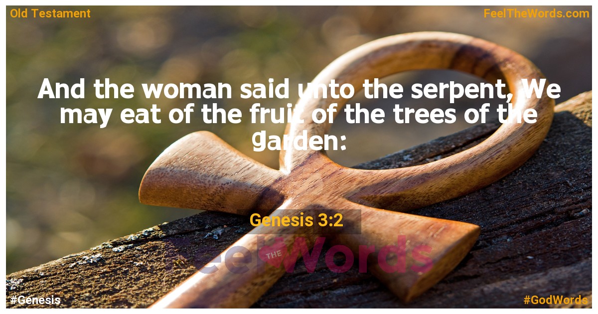 Genesis 3:2