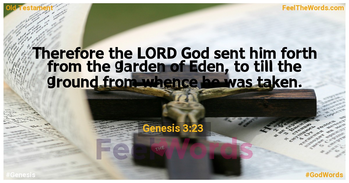 Genesis 3:23