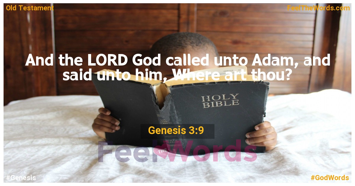 Genesis 3:9
