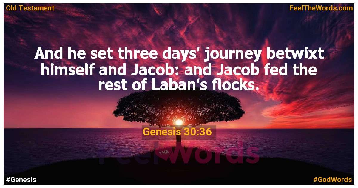 Genesis 30:36