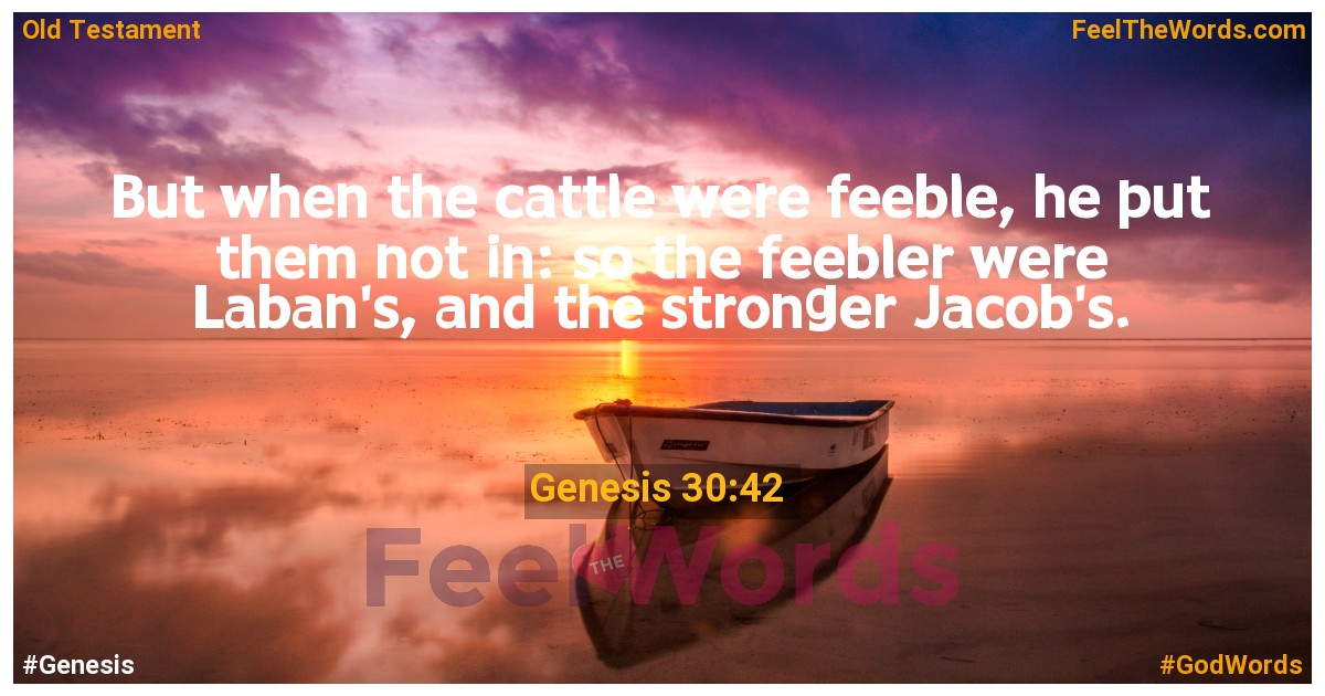 Genesis 30:42