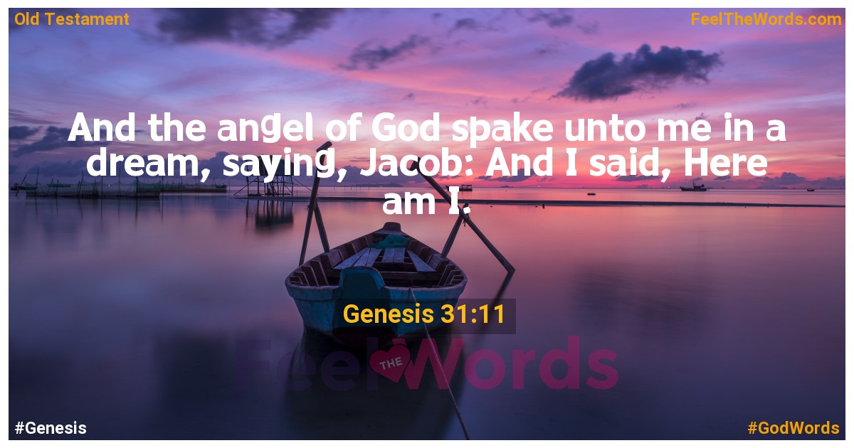 Genesis 31:11