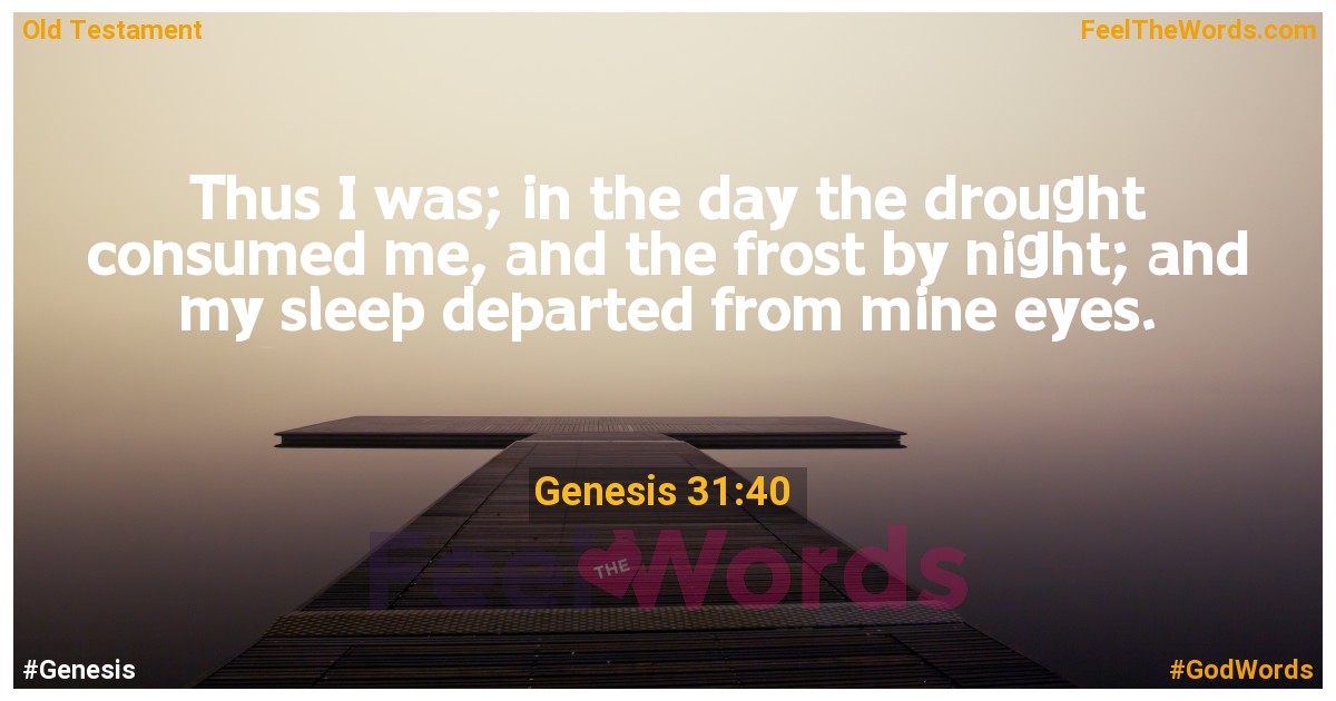 Genesis 31:40