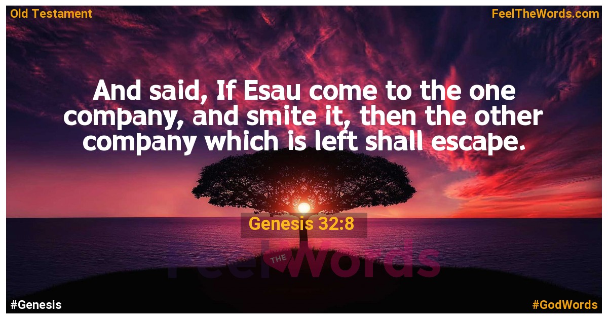 Genesis 32:8
