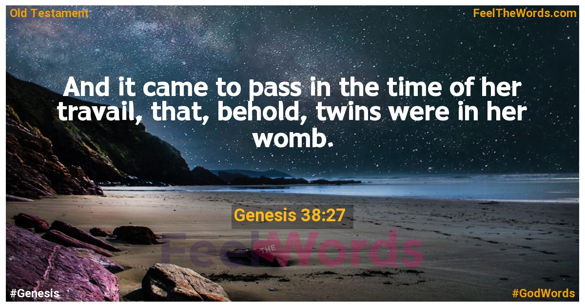Genesis 38:27
