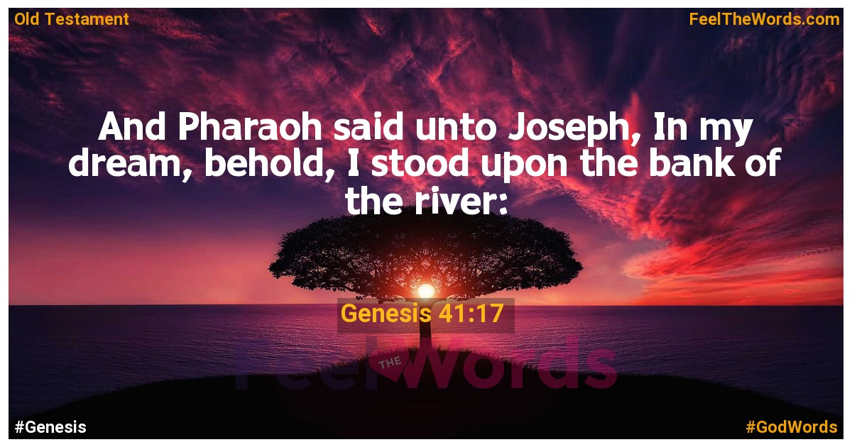 Genesis 41:17