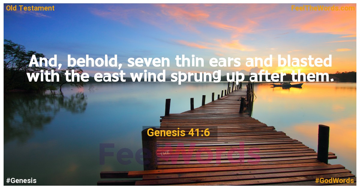 Genesis 41:6