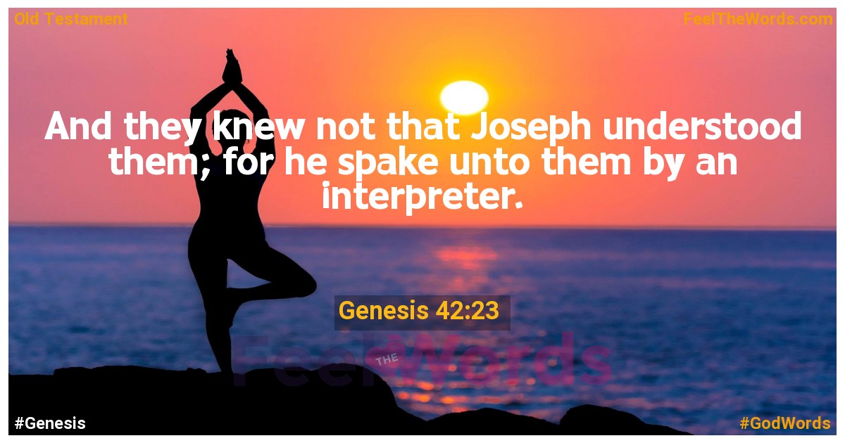Genesis 42:23
