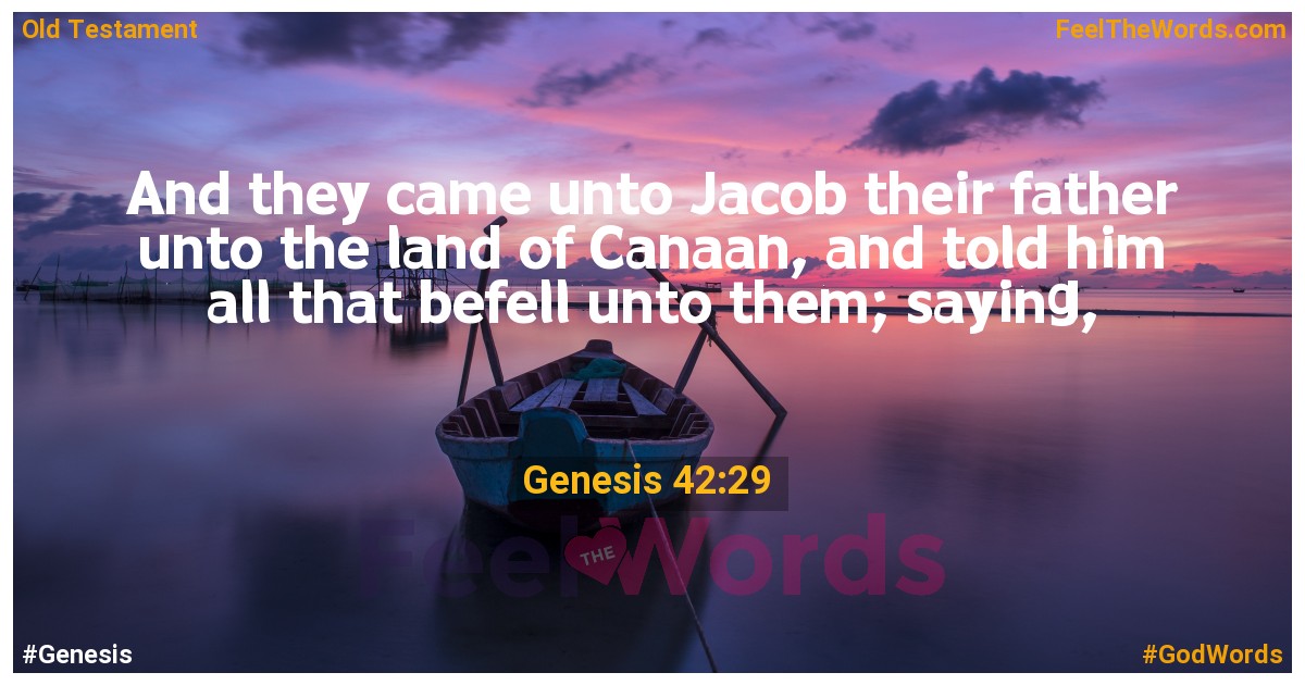 Genesis 42:29
