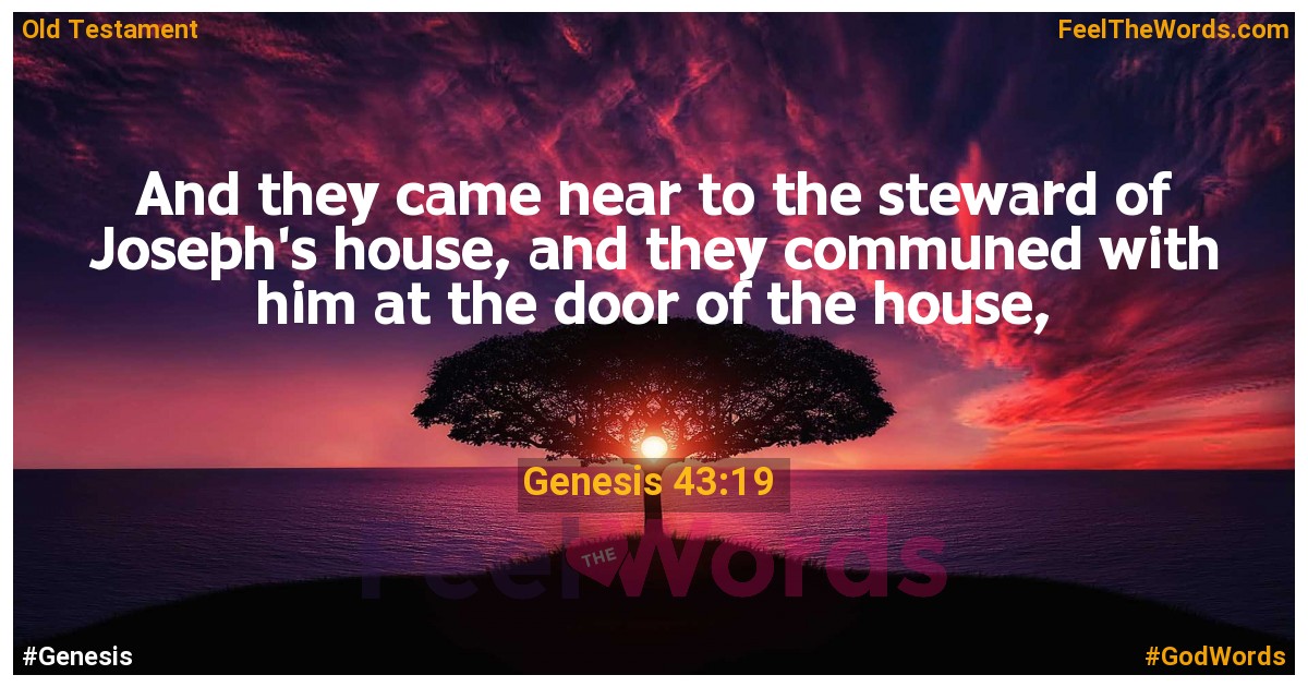 Genesis 43:19