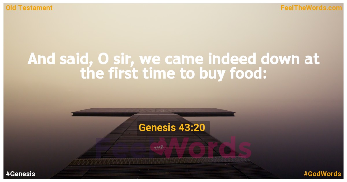 Genesis 43:20