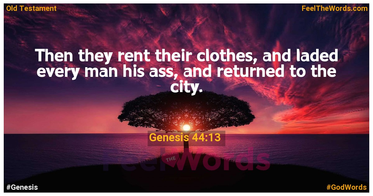 Genesis 44:13