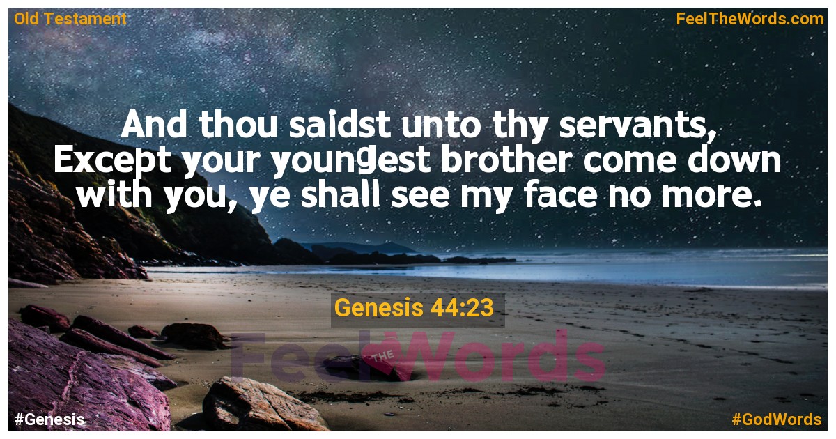 Genesis 44:23
