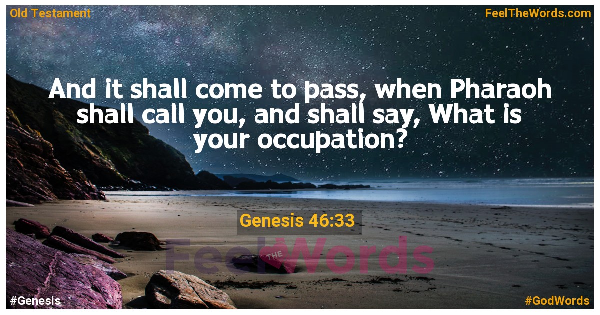 Genesis 46:33