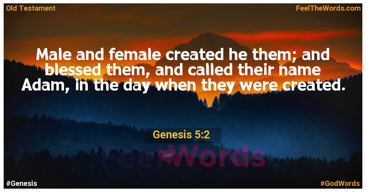 Genesis 5:2